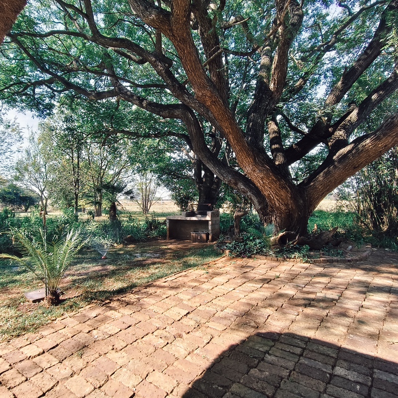BBQ Area